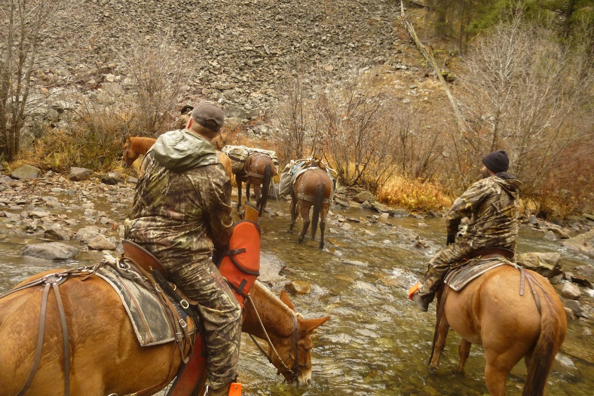 Castle Creek Outfitters