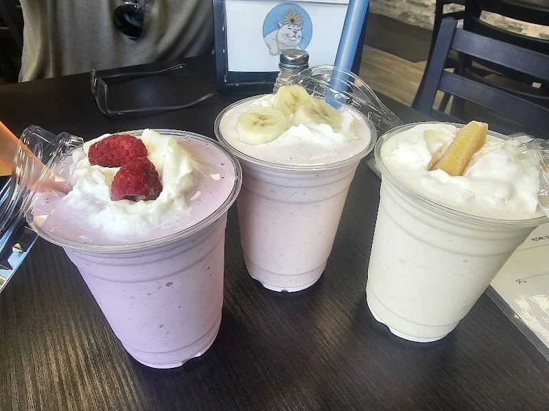 Alley Cat Cat Cafe photo 2