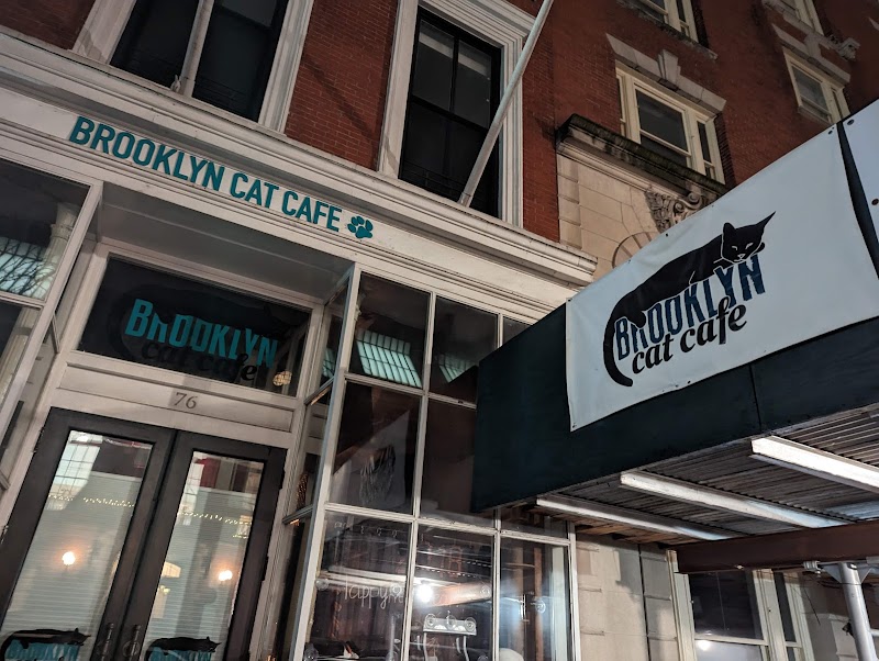 Brooklyn Cat Cafe