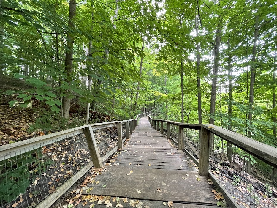 Sherwood Park fotoğraf 1