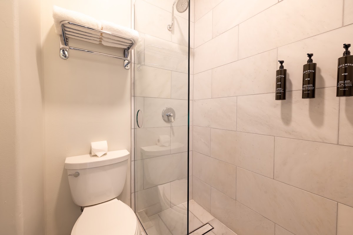 Hotel Triton, dog-friendly hotel, photo 2