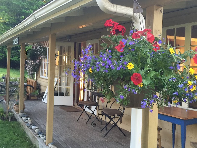 Shavasana Art Gallery & Café photo 4