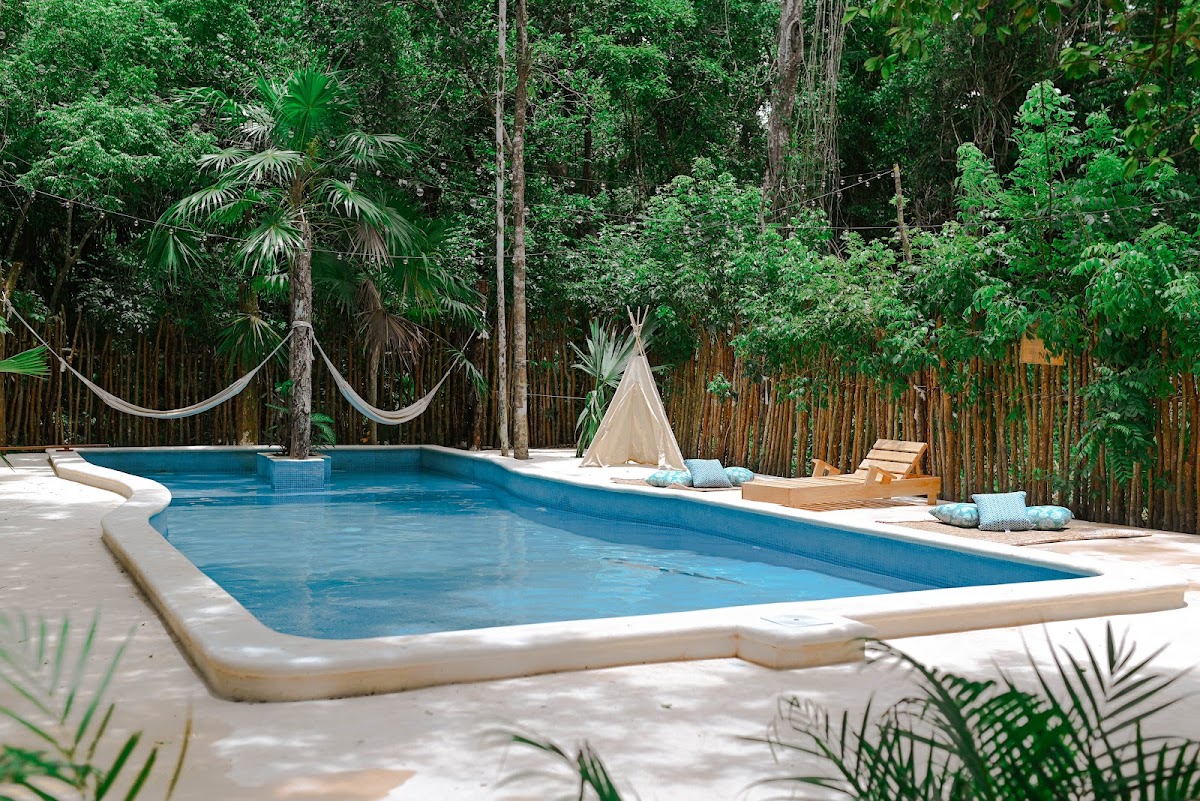 Lunita Jungle Retreat - Wellness & Spiritual Center — 4