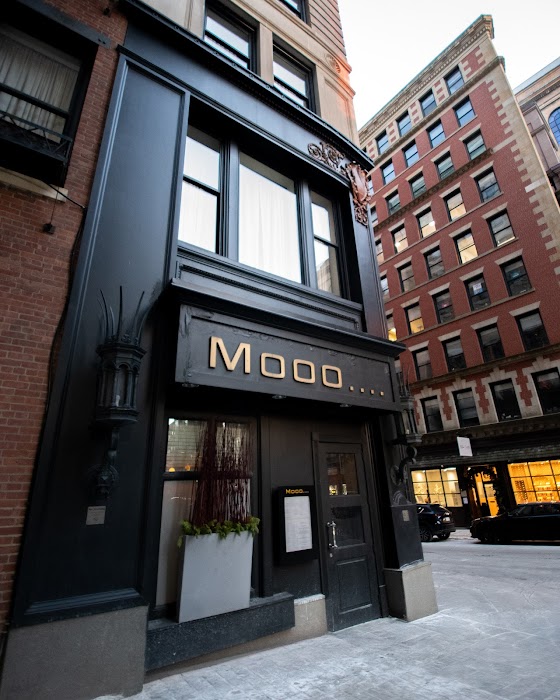 Mooo.... Beacon Hill fotoğraf 1