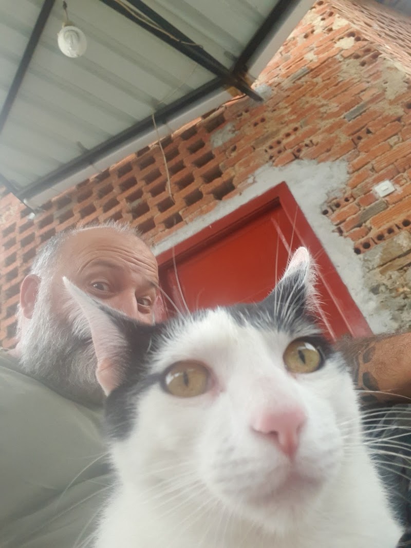 CLINICA VETERINARIA MONFORTE photo 3