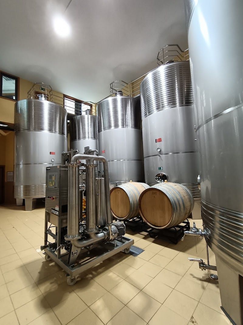 Bodega Adega Eidos photo 4