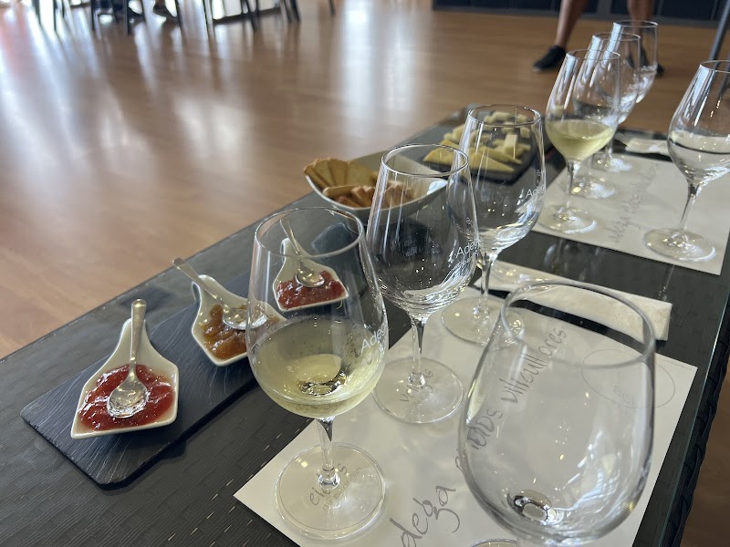 Bodega Adega Eidos photo 5