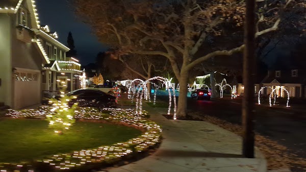 Willow Glen 1