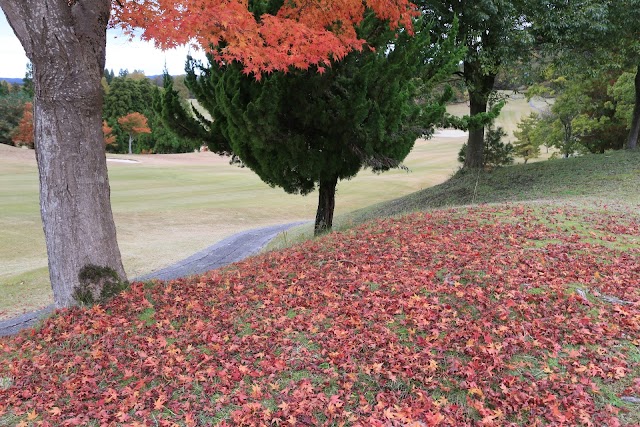 Hanam尾 Country Club (Toyama Prefecture) - Photo 5