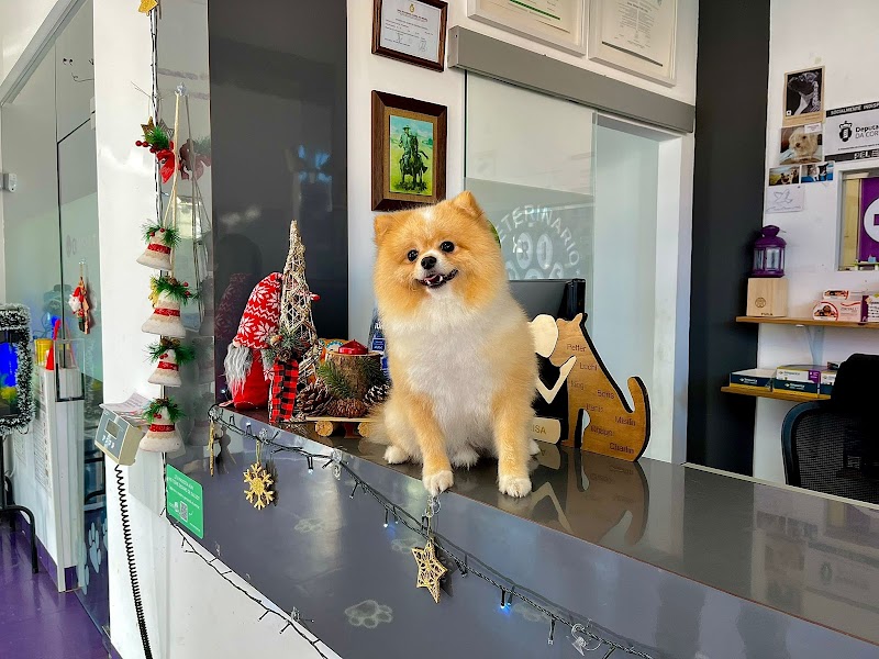 Centro Veterinario ADRISA (SERVICIO DE URGENCIAS DERIVADO AL HOSPITAL VETERINARIO IMAVET)