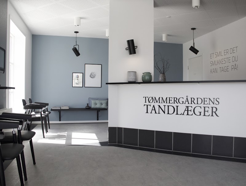 Tømmergårdens Tandlæger - billede 1