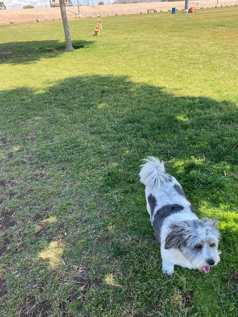 Hearts Alive Village