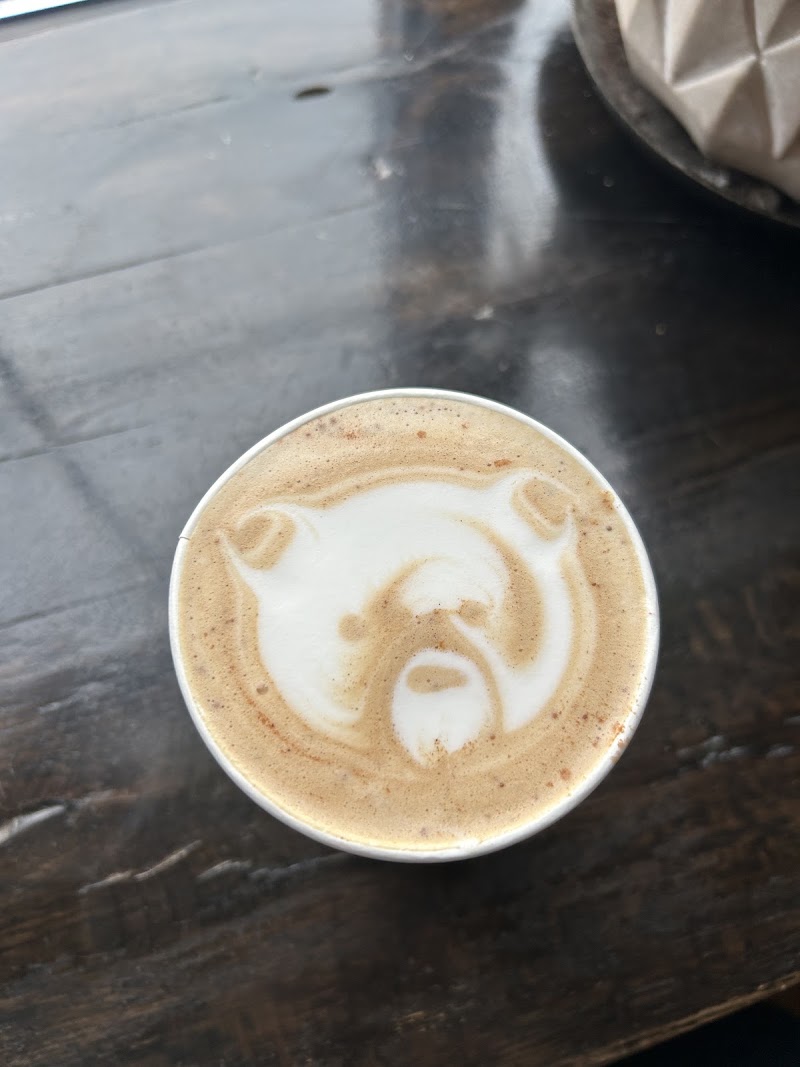 Spyhouse Coffee Roasters | Northeast photo 4