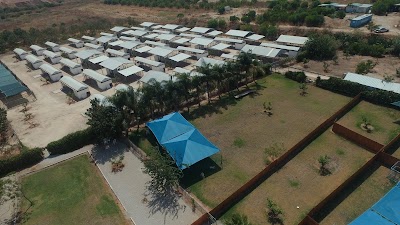 פנסיון לכלבים חוות הדוד משה