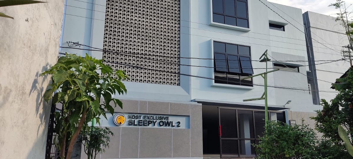 KOST EKSKLUSIF SLEEPY OWL SOLO