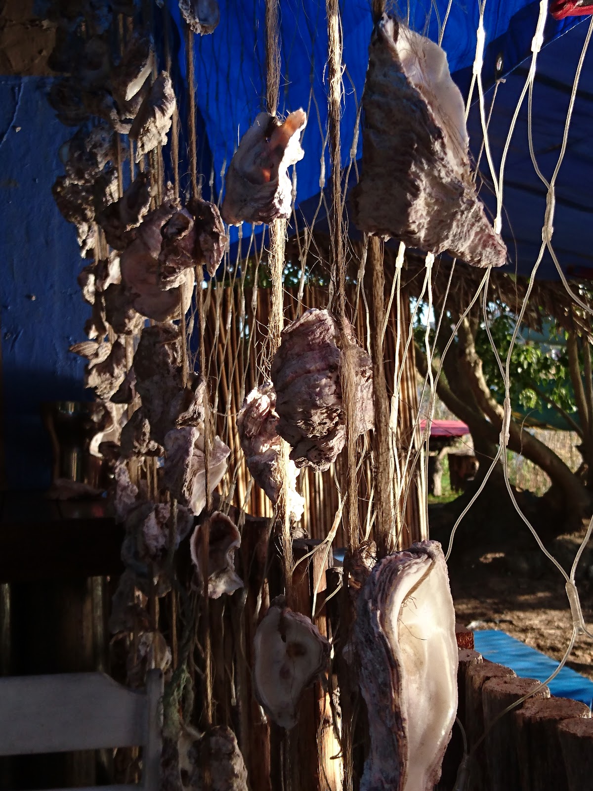 Munro’s Cape Oysters — photo 3