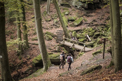 Mullerthal Trail