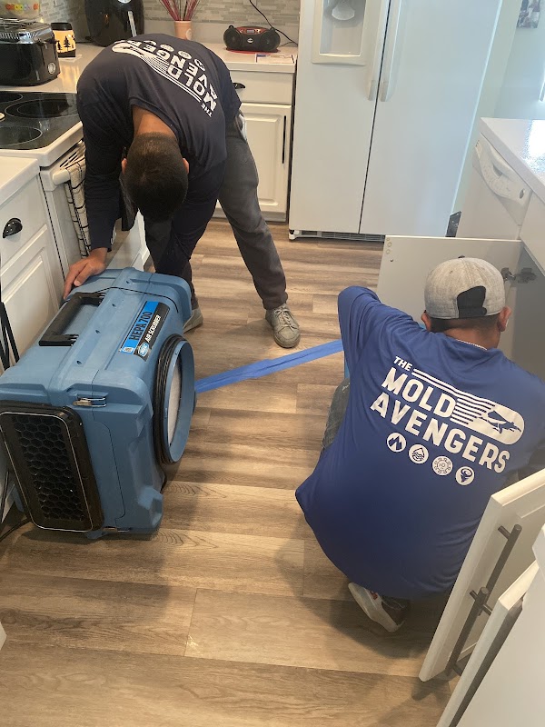 The Mold Avengers | Restoration Company Florida — photo