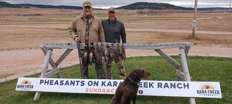Pheasants on Kara Creek Ranch - Photo 6