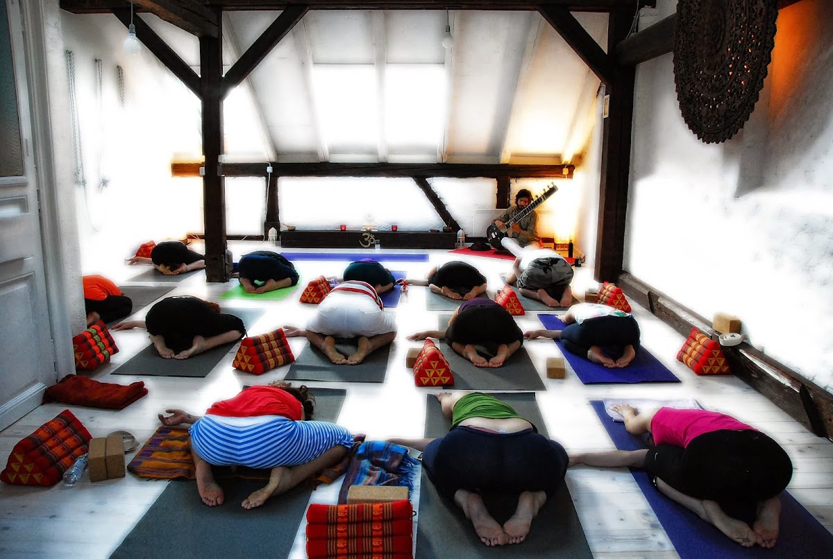 GaiaYoga škola & shala — 3