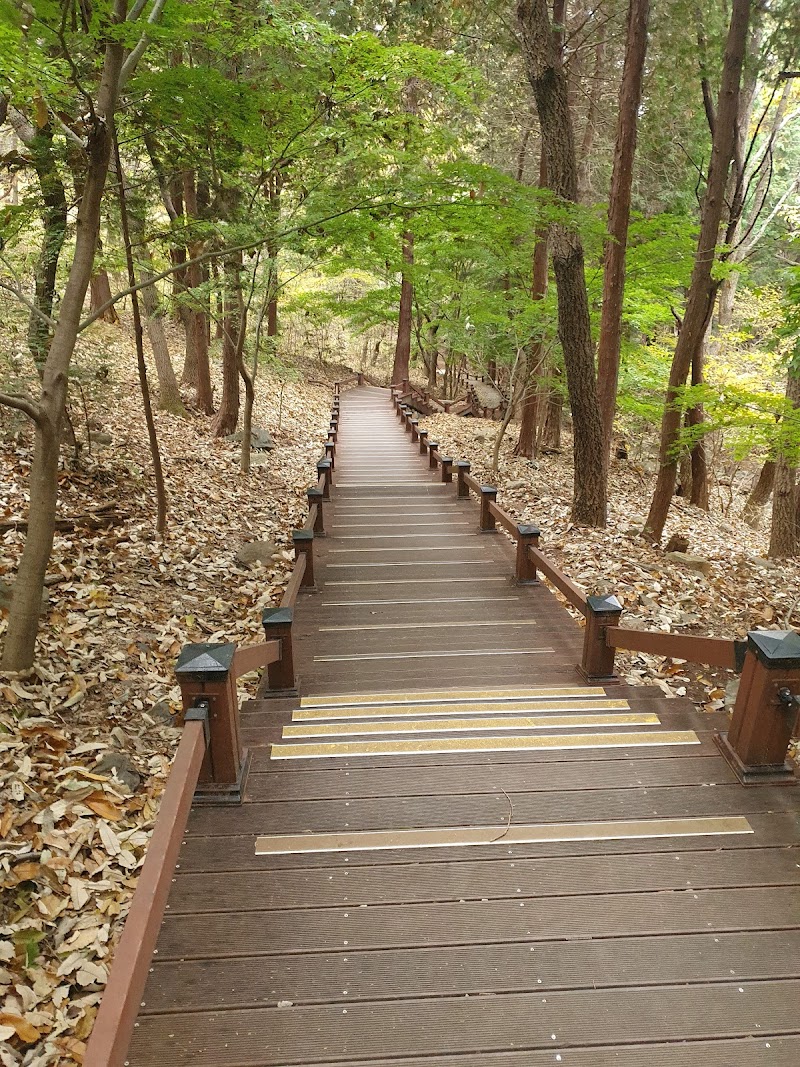 구봉산 반려동물 동반 여행지