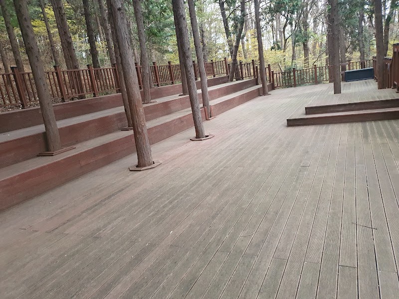 구봉산치유의숲길 사진 3