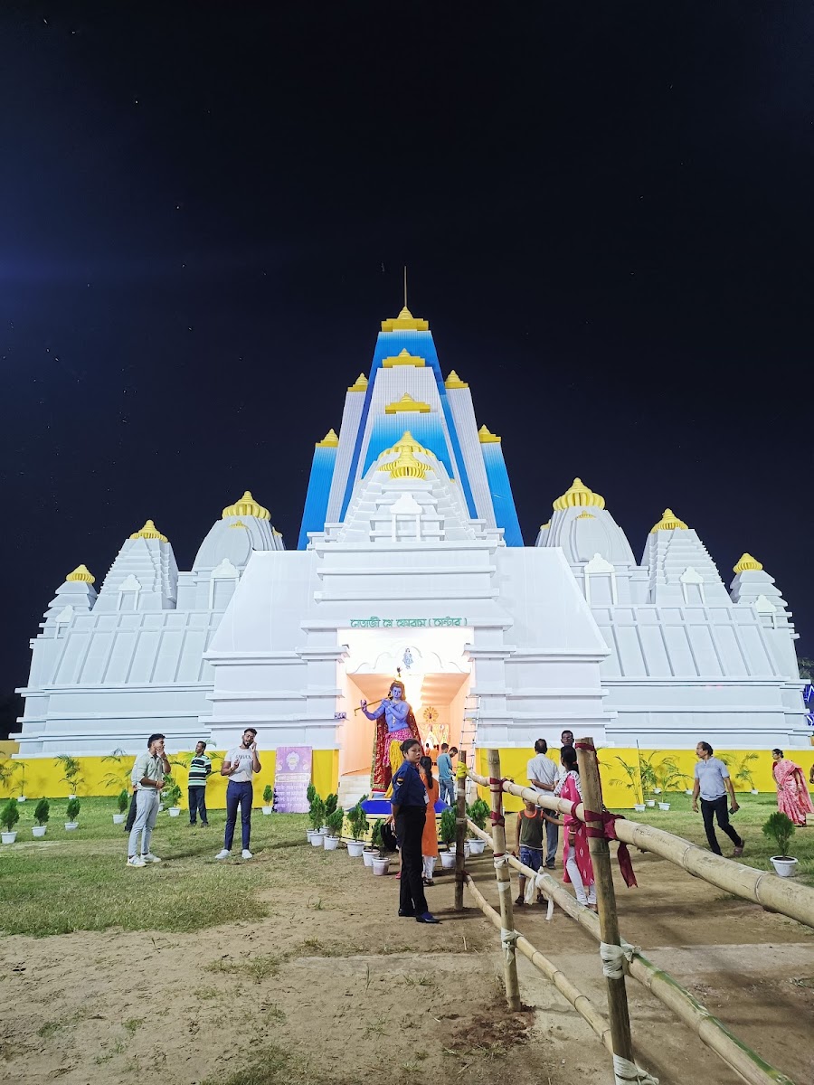 Netaji School Playground Google photo 4