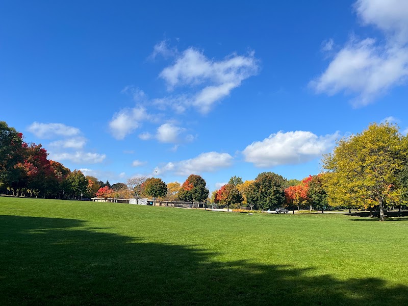 Adler Memorial Park photo 3