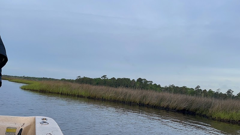 gottafly Guide Service