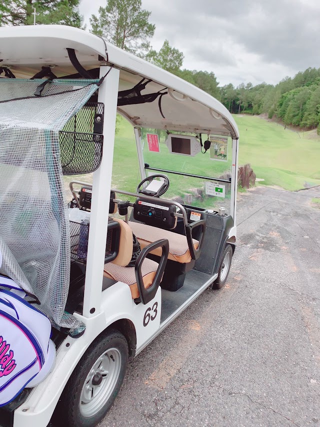 Nagoya Hirohata Golf Course - Photo 8