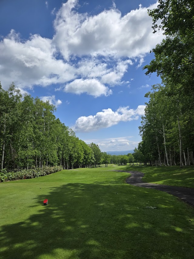 Hanazono Golf - Photo 2