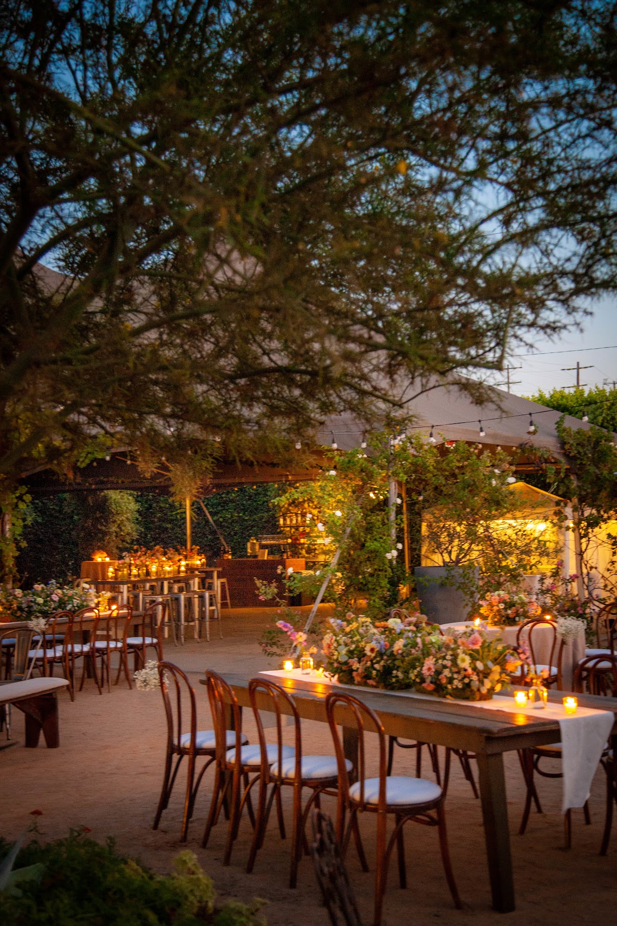 Liven It Up Events: Google Places image 2