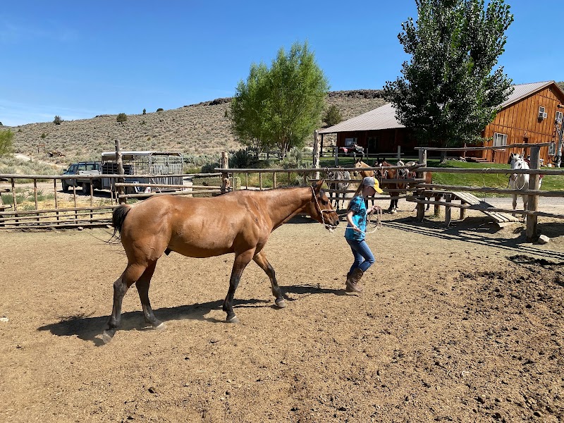 Steens Mountain Guest Ranch - Photo 4
