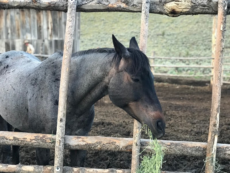 Steens Mountain Guest Ranch - Photo 3