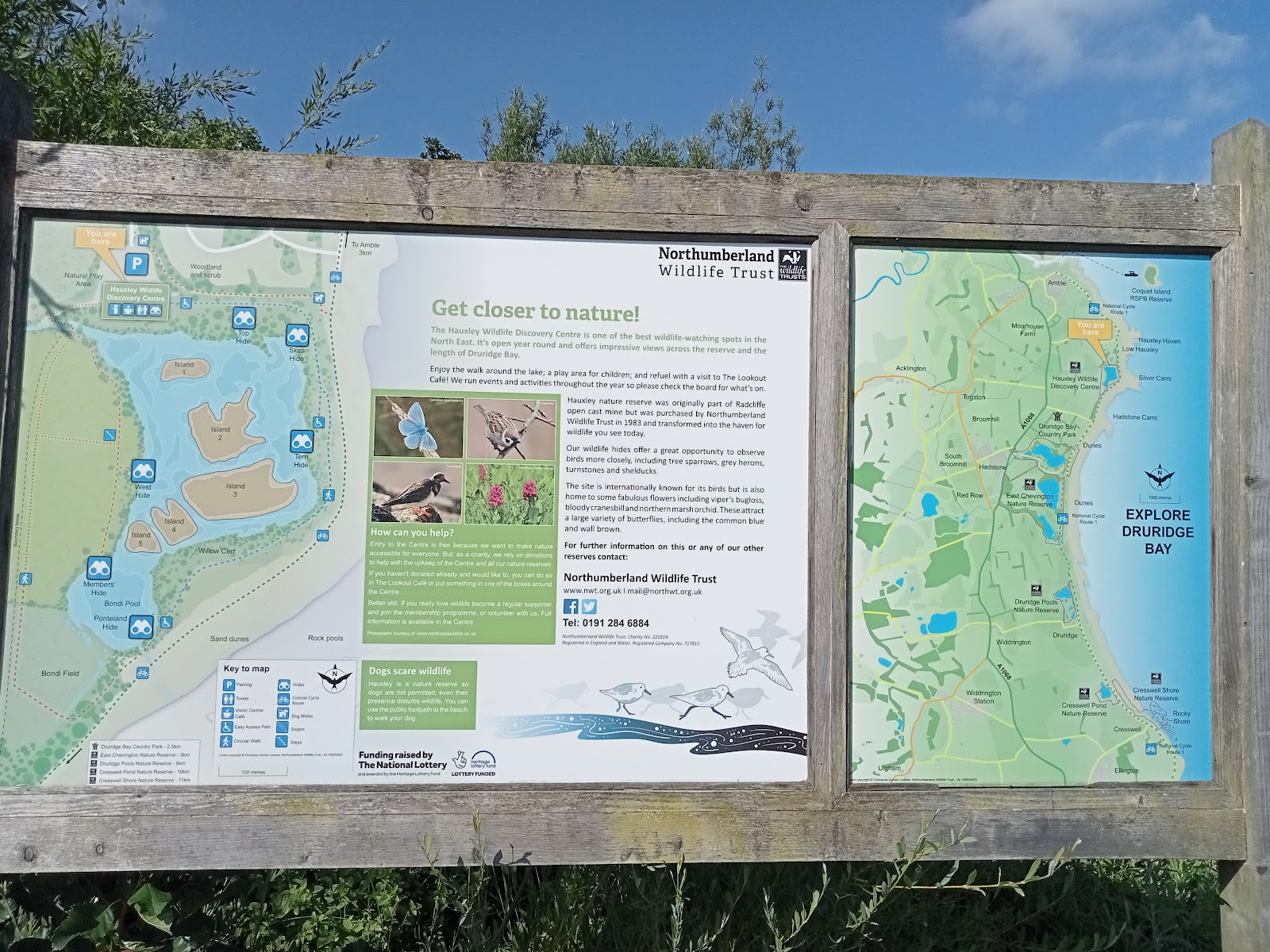Northumberland's Coastal Wildlife: Beyond the Farne Islands
