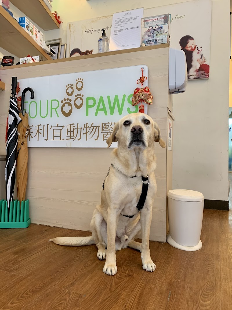 FOUR PAWS ANIMAL HOSPITAL