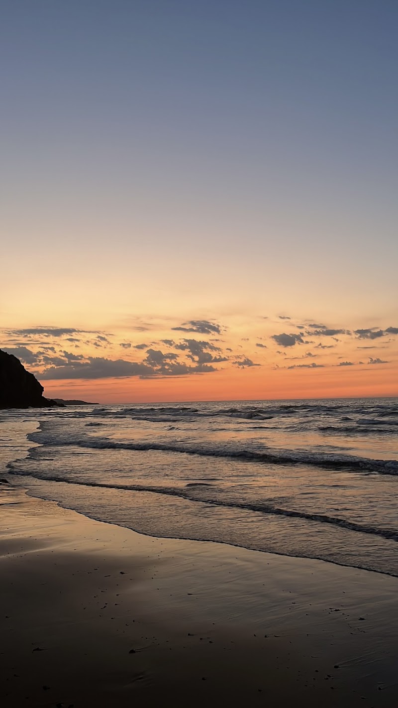 Stars Volleyball Club