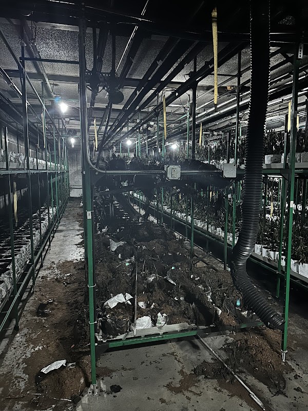 Disaster Recovery Restoration — photo