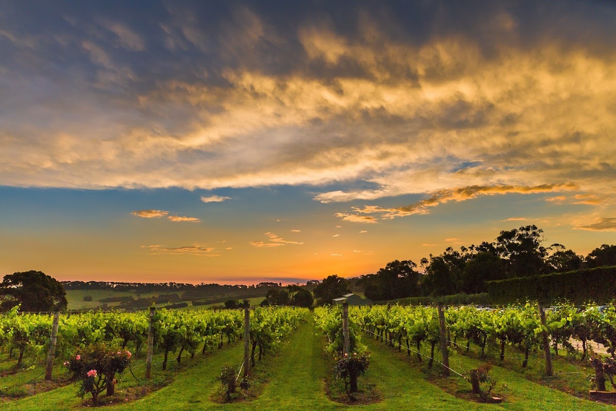 Pier 10 Winery