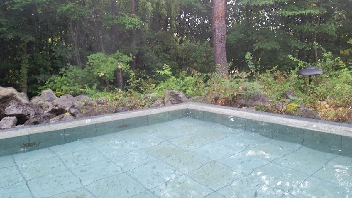 Fujinoyakata - ryokan in Shimobe Onsen, Yamanashi (3)