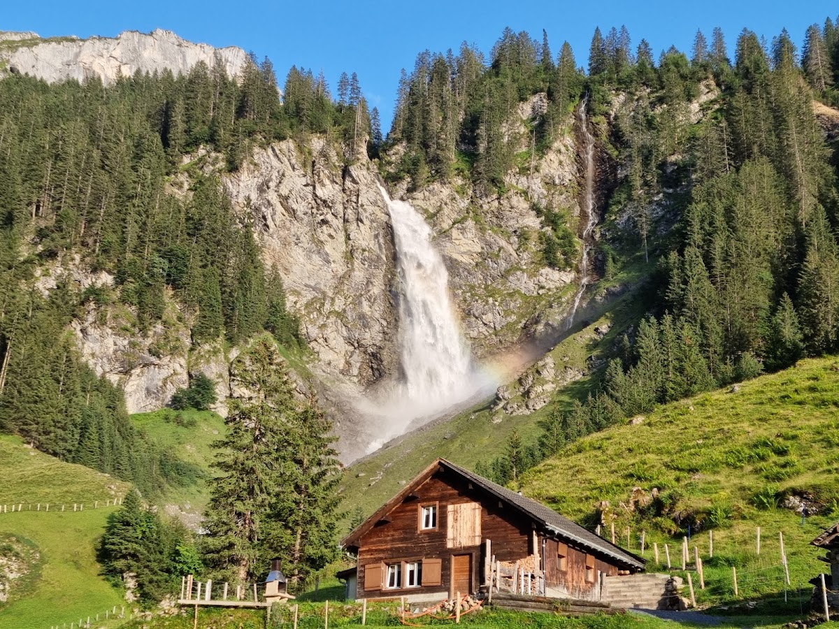 Stäubifall