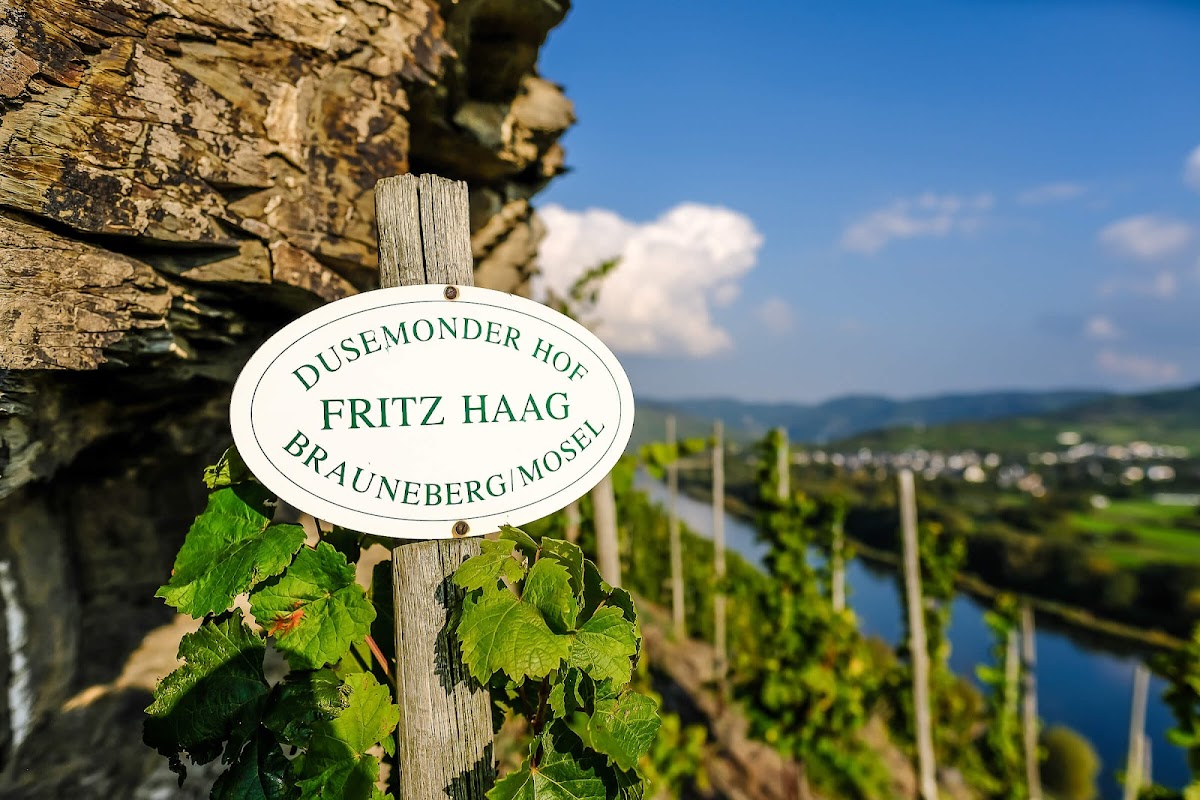 VDP-Weingut Fritz Haag