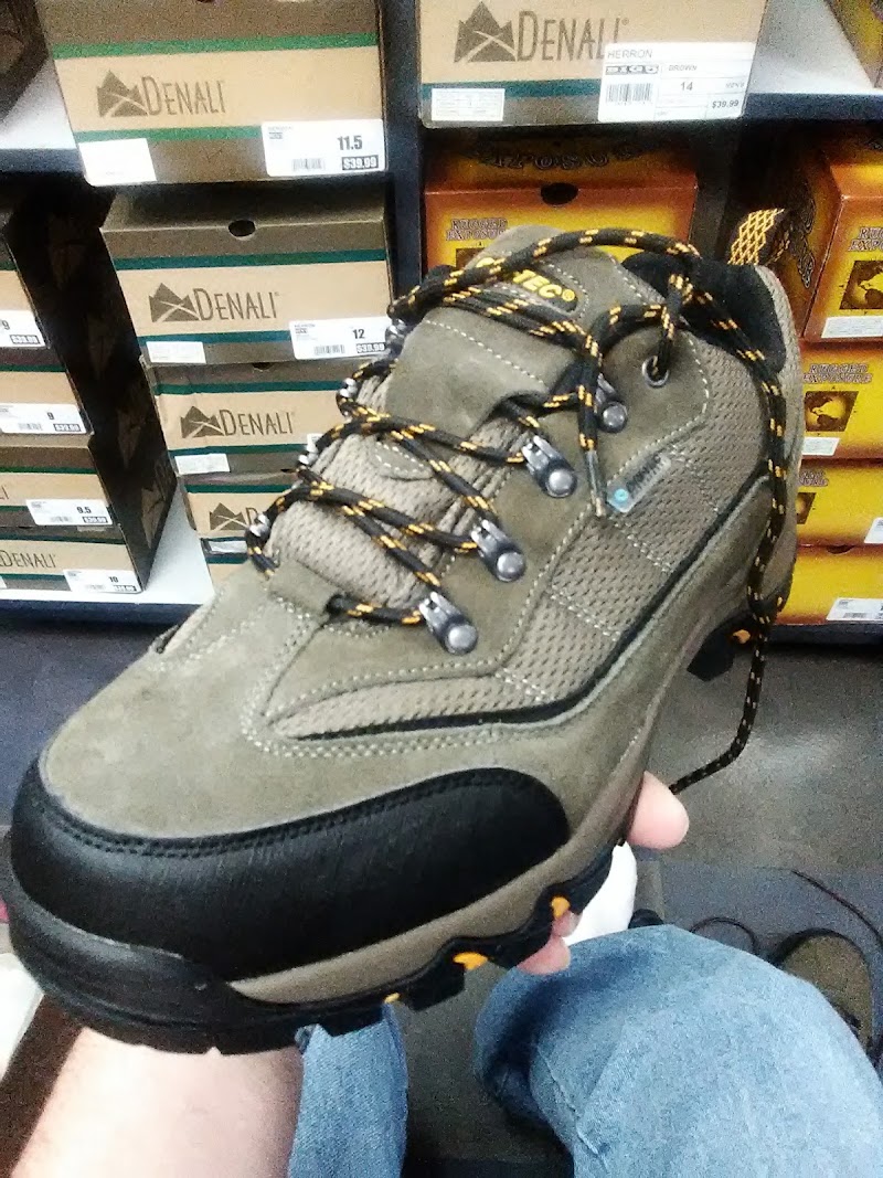 Big 5 Sporting Goods #351 photo