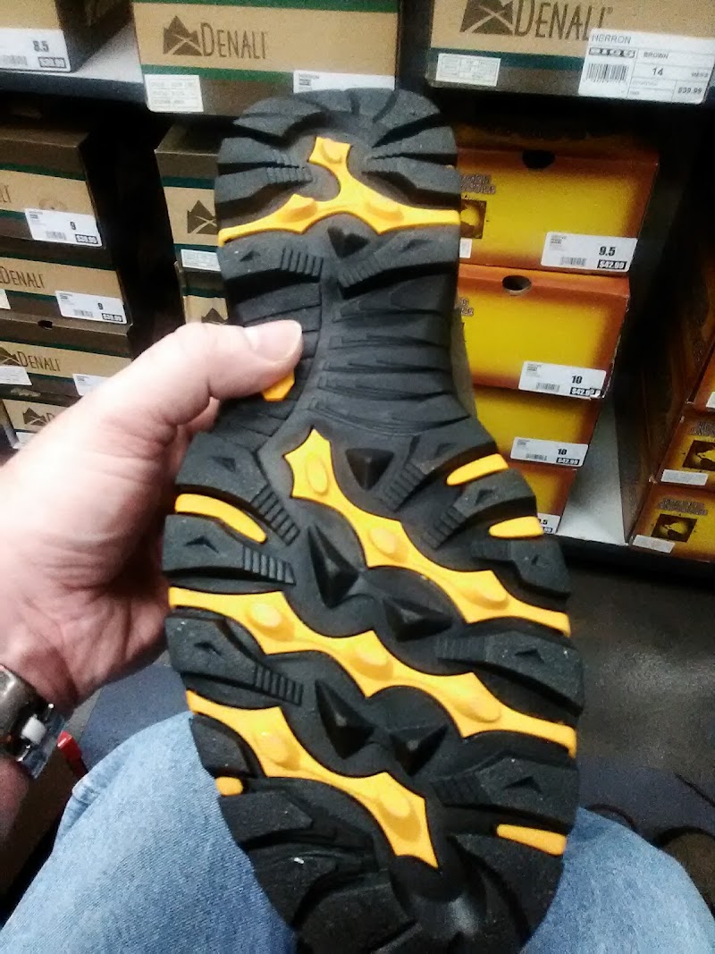 Big 5 Sporting Goods #351 photo