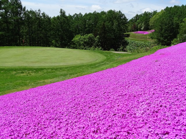 Iwamizawa Public Kijigamori Golf Course - Photo 7