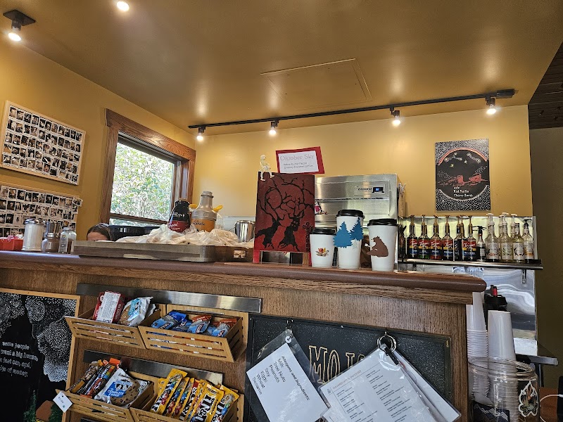 Morrison Joe photo 3