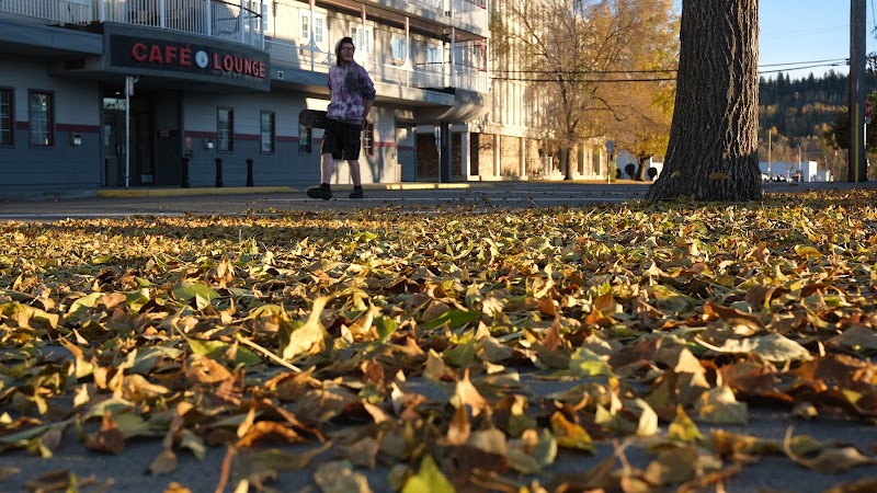 Café Lounge photo 4