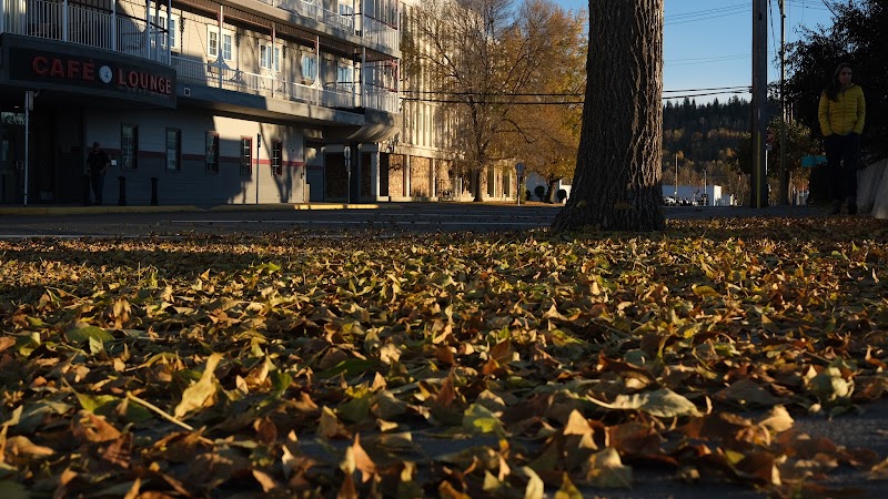 Café Lounge photo 3