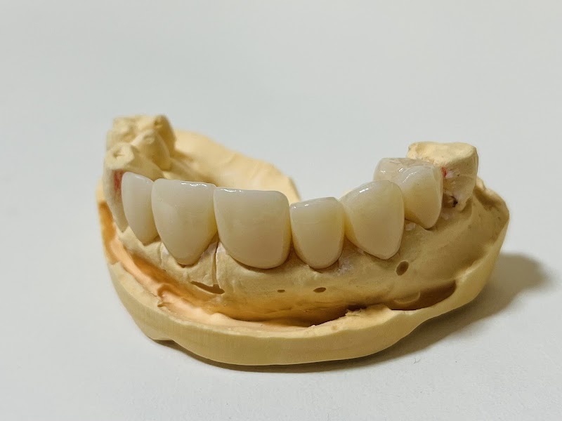 Dra. Morgane Marion ( Endodontia com Microscopia, Harmonização facial e Alinhadores Invisíveis) - foto 2