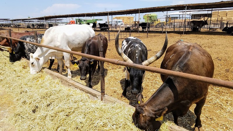 Paul Rovey Dairy - Photo 2
